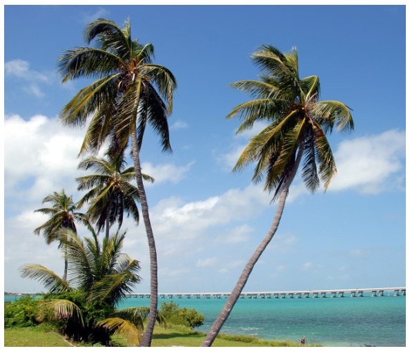 Bahia Honda State Park