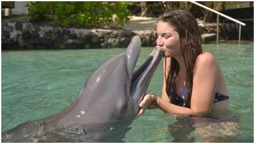 Dolphin Research Center