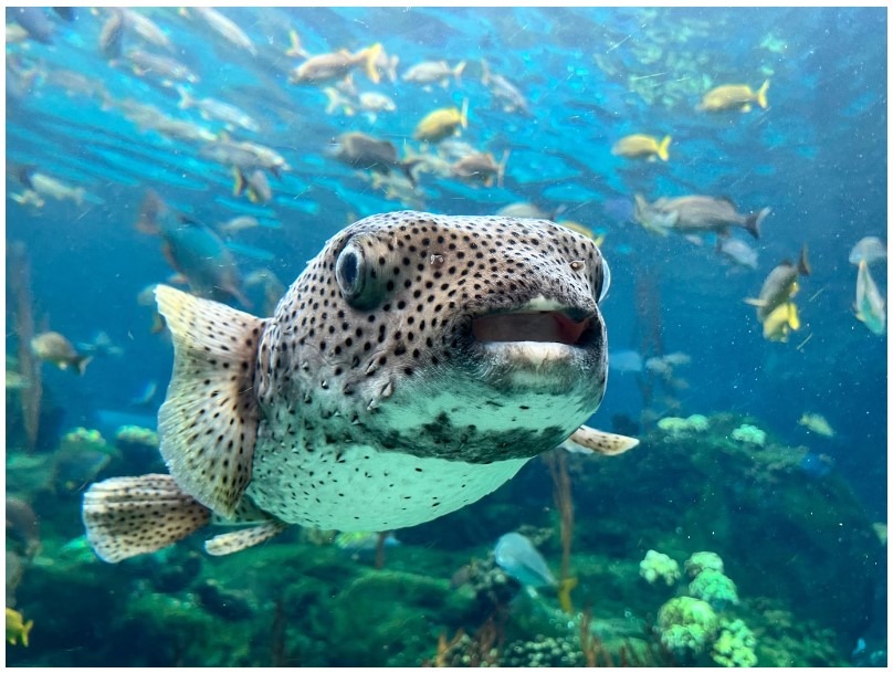 Florida Keys National Marine Sanctuary