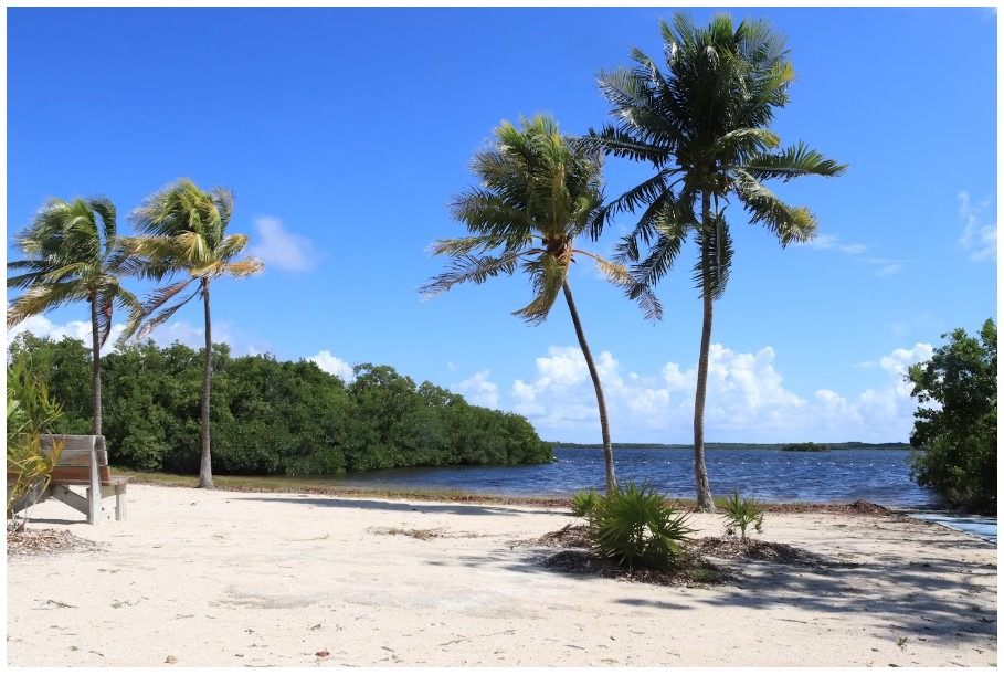 John Pennekamp Coral Reef State Park