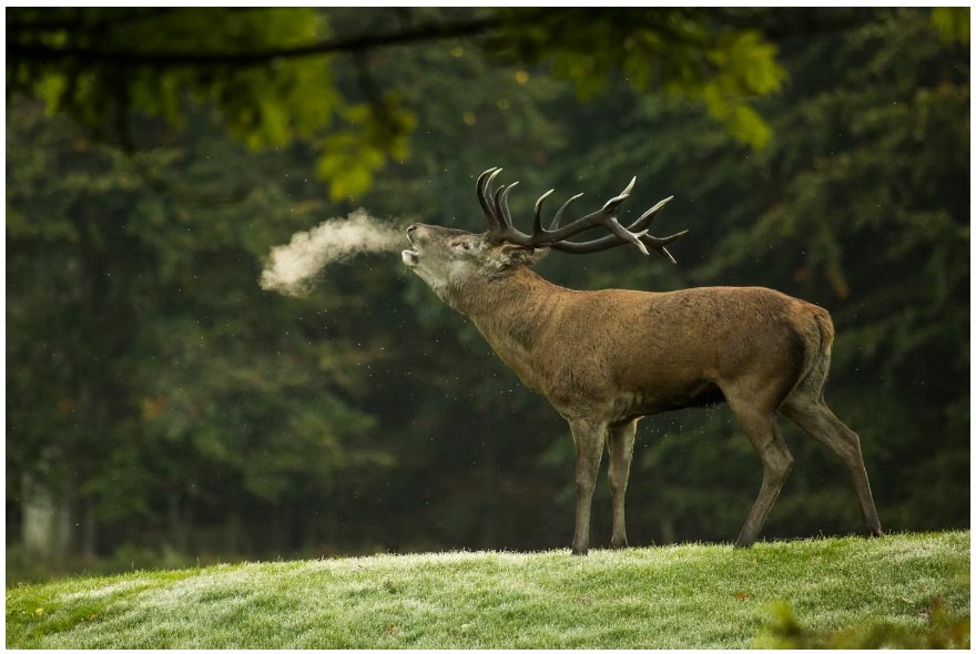 National Key Deer Refuge