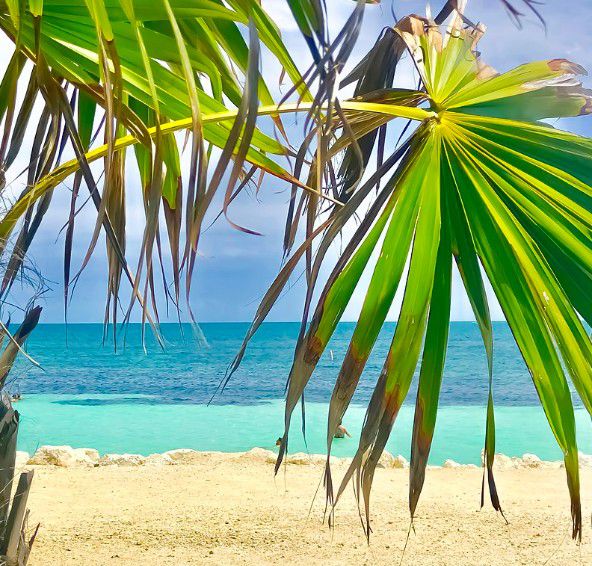 Bahia Honda Florida Keys beach