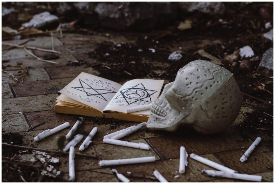 skeleton placed on top of a book