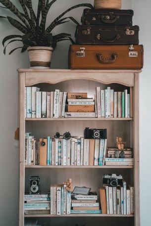 three shelves stacked with books, a plant on top